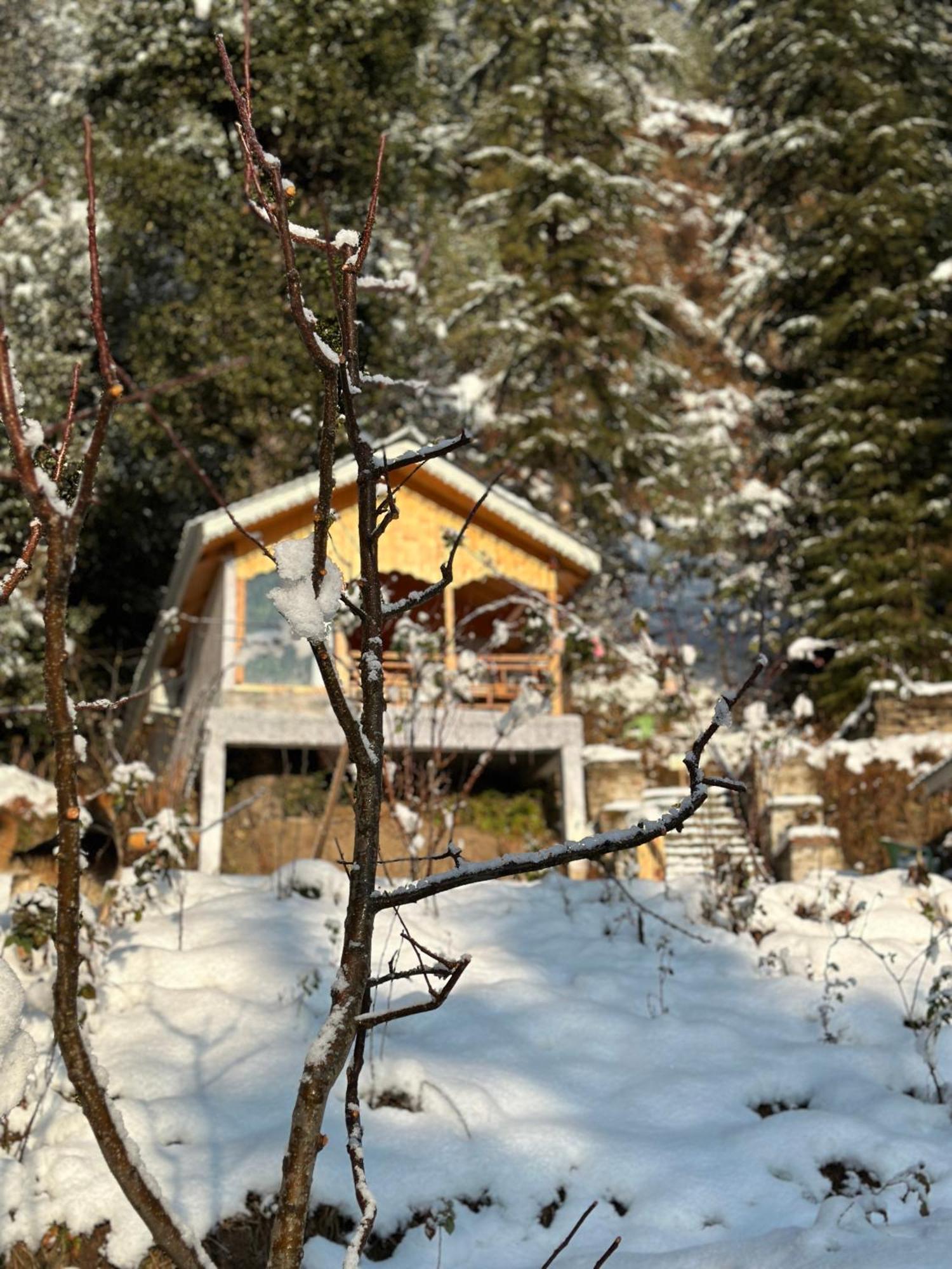 Tree House Latos Tandi Hotel Jibhi Kültér fotó